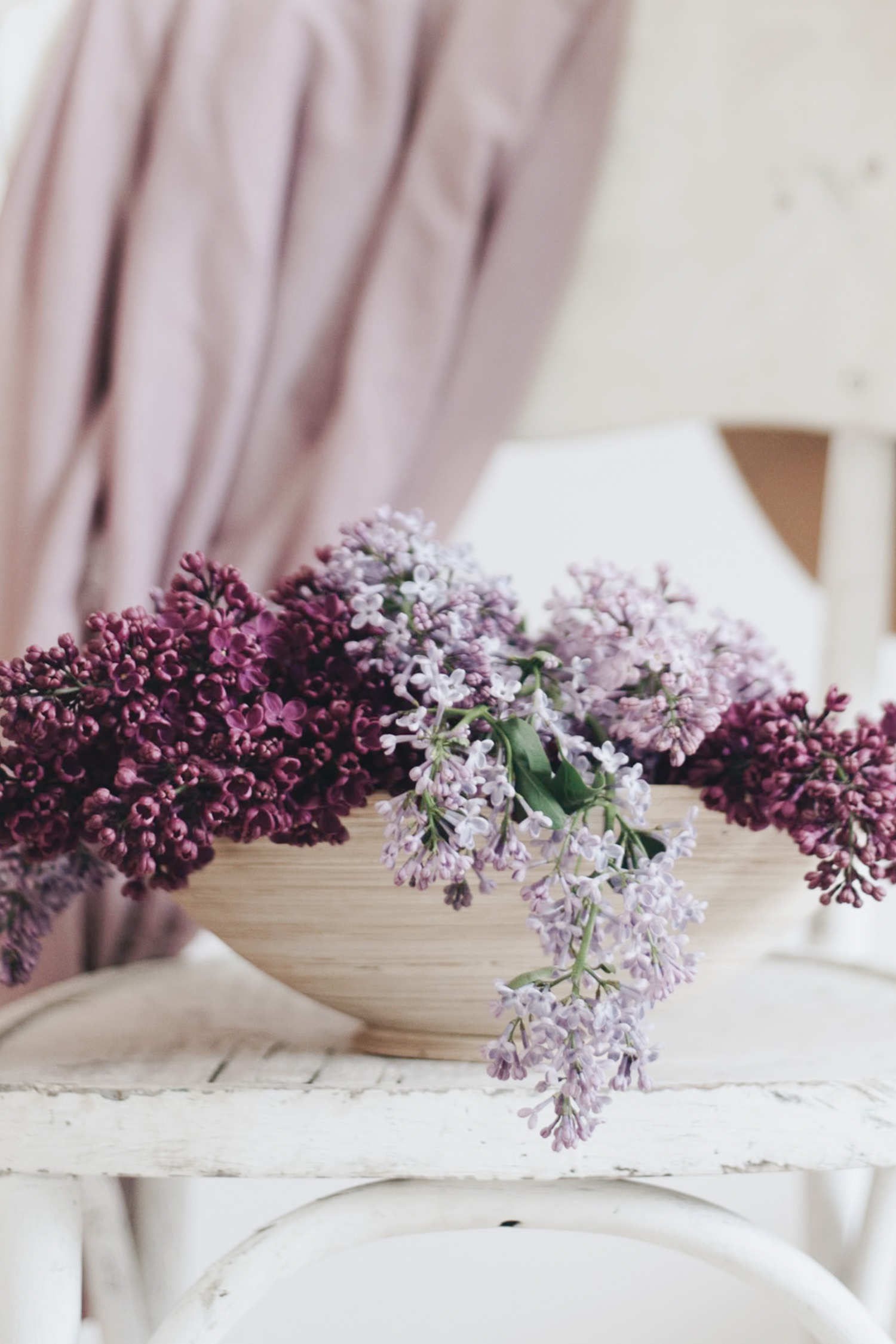 Bowl of Lilac Flowers Sitting on Chair